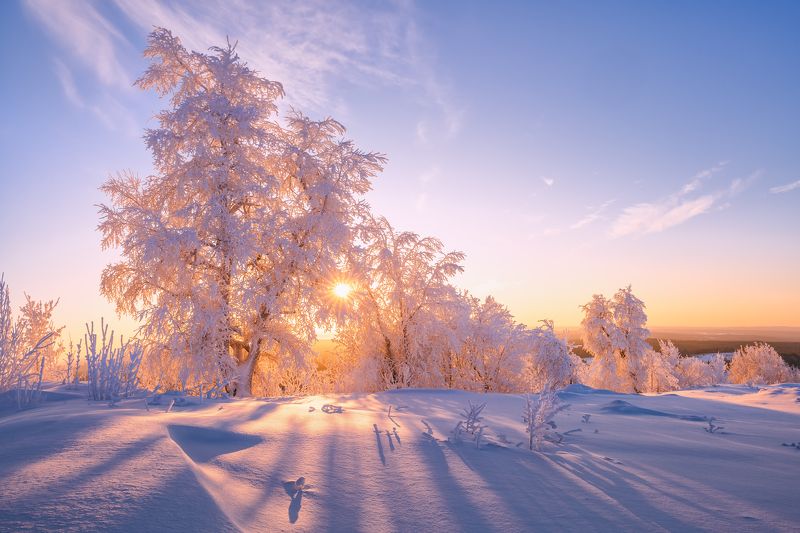 Морозный день... фото превью