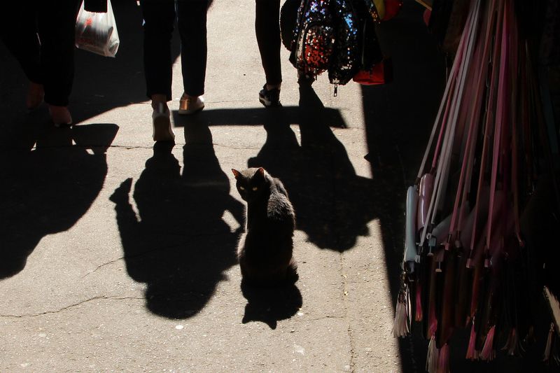 стрит photo preview