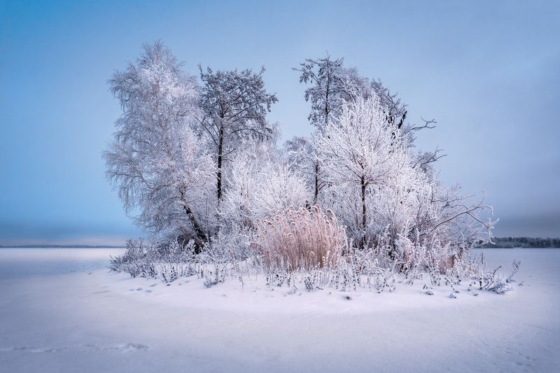 север челябинской области, озеро синара, остров средний, зима, иней Зима на островеphoto preview
