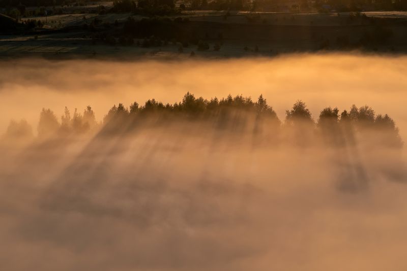 Солнечное утроphoto preview