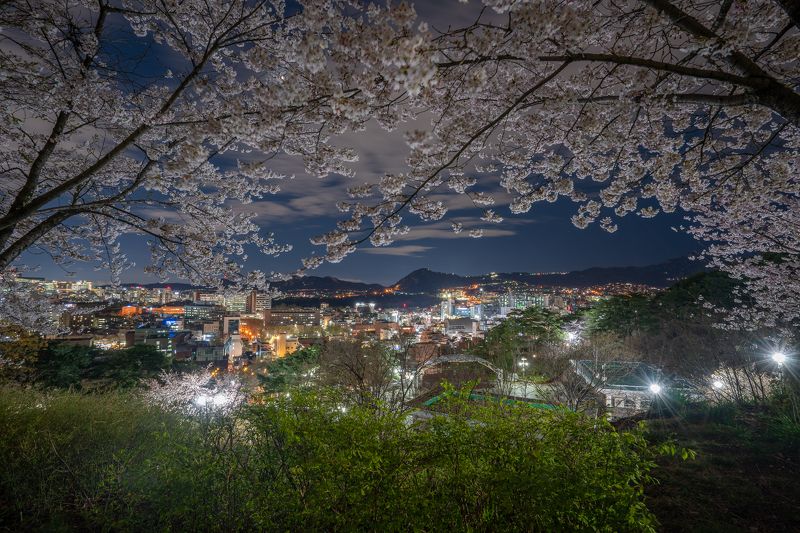 Spring Seoulphoto preview