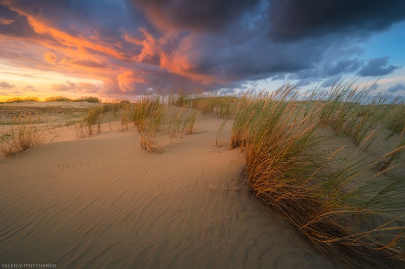 куршская коса, природа, пейзаж, вечер, закат, дюны, landscape, nature, sunset В дюнах Куршской косыphoto preview