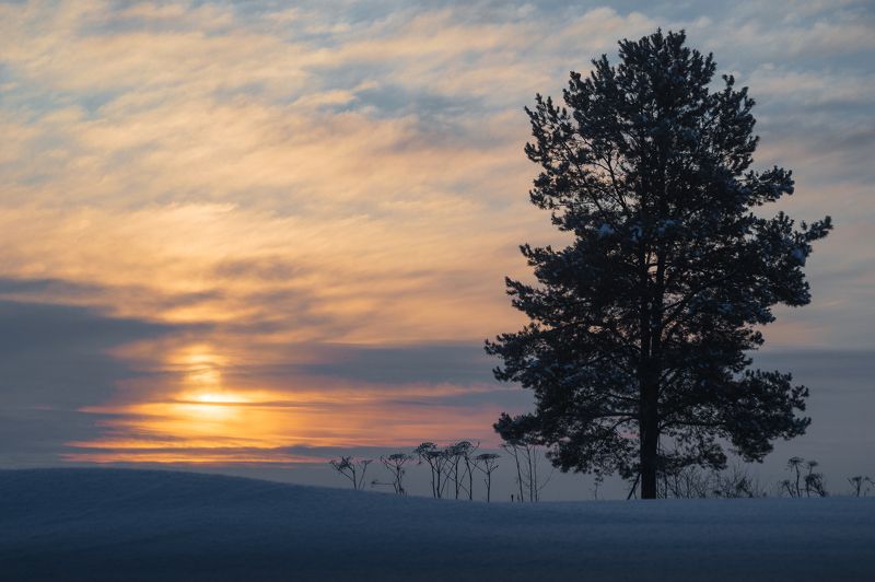 пейзаж, природа, зима, снег, рассвет, республика коми photo preview