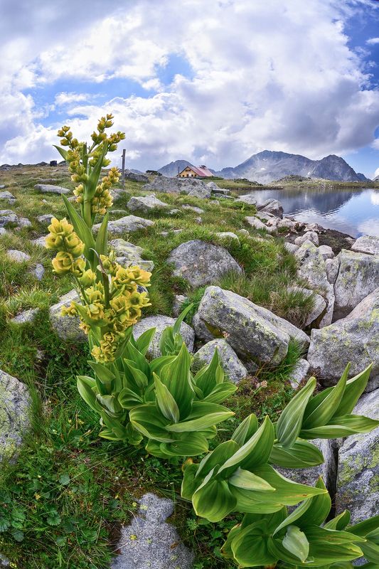 landscape, bulgaria, mountain, nikon photo preview