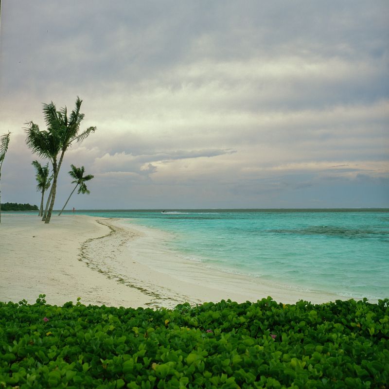 film, analog, analog photo, film photography, пленка, плёночная фотография, medium format, 120mm, 120 film, 6x6, средний формат, bronica, bronica sq-a, Zenzanon, Zenzanon80mm, Fujifilm, Fujichrome, Provia, Provia 100F, Fujichrome Provia 100F, Fujifilm Pro photo preview