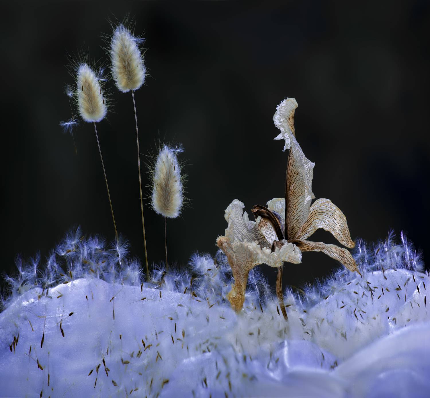 , Черновол Валентин