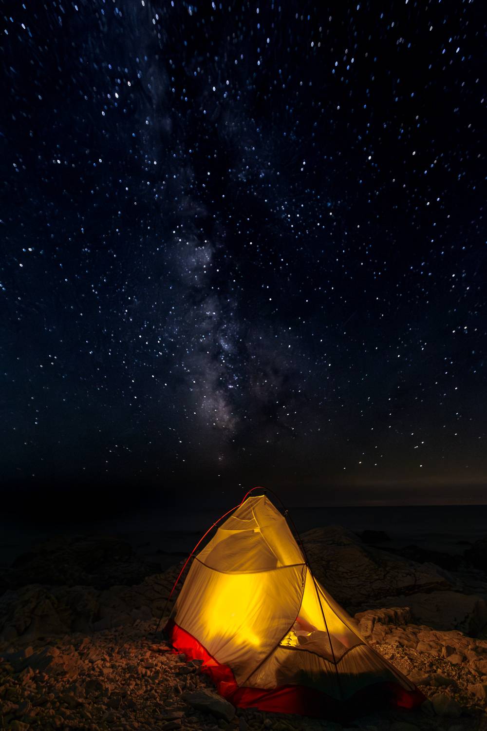 Night things. Автор: Eriks Zilbalodis , Eriks Zilbalodis