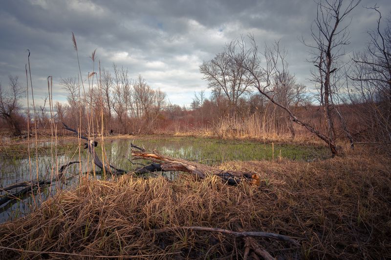 Предчувствие весныphoto preview