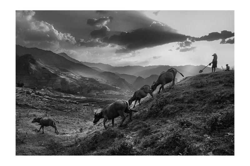 Рис и образы Вьетнама.photo preview