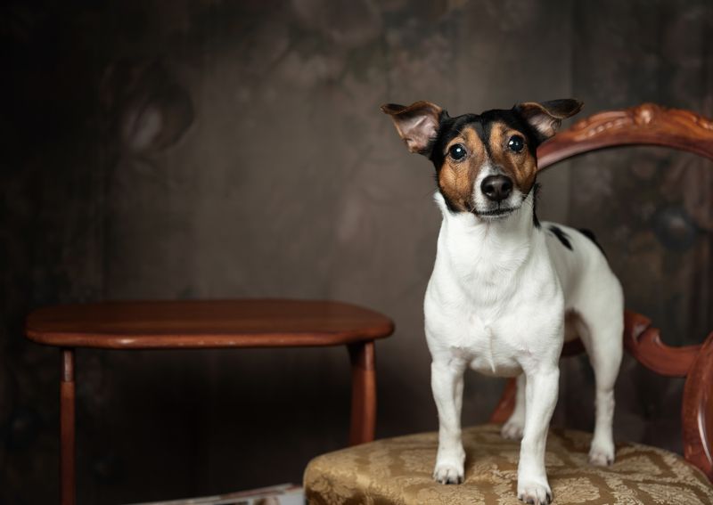 Артиphoto preview