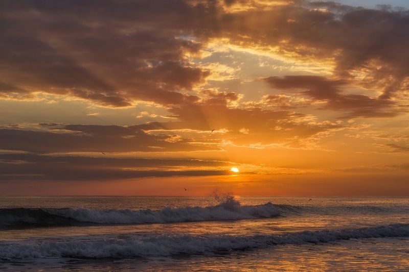 Морские зарисовкиphoto preview