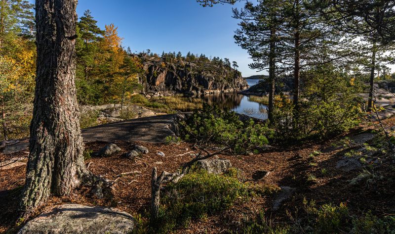 Ладога, Карелия, Ладожские шхеры, Озеро, вода, скалы, гранит Осенний вечер в карельских скалахphoto preview