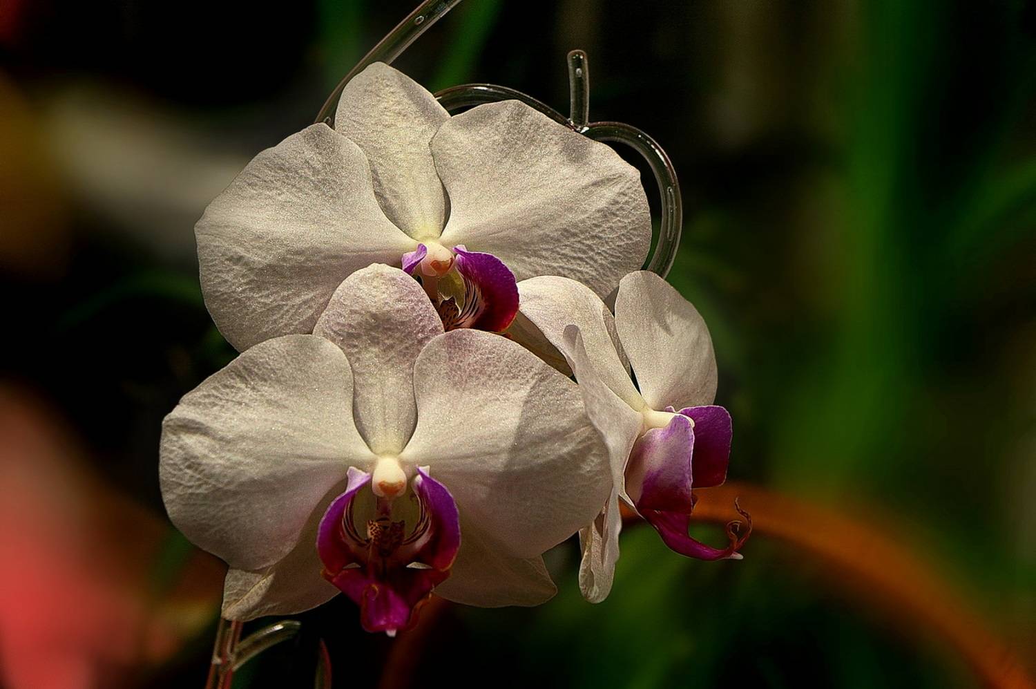 Автор: Николаев Владимир , Николаев Владимир