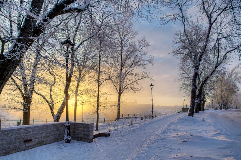 рассвет нарва зима снег иней солнце Рассвет в Нарве фото превью