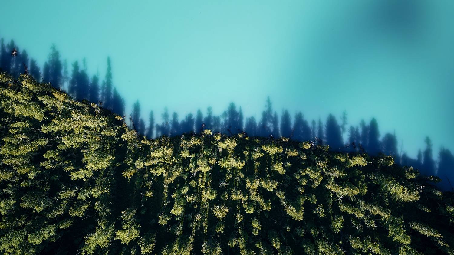 , Загруев Михаил