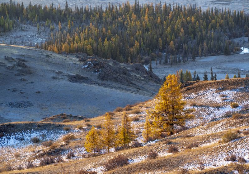 Алтайская осеньphoto preview