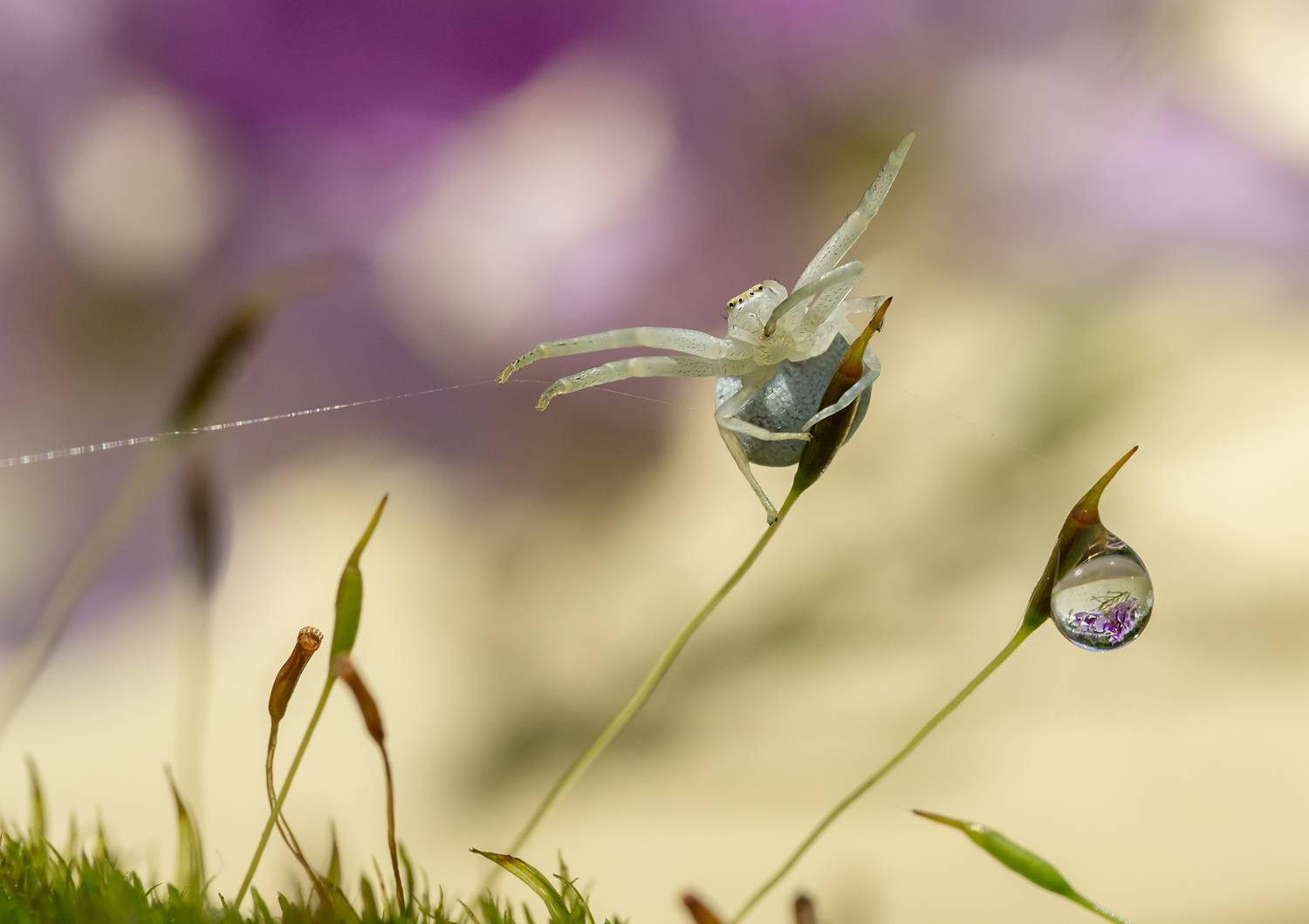 Тихо..! Кажется клюёт!. Автор: Koledova Irina , Koledova Irina