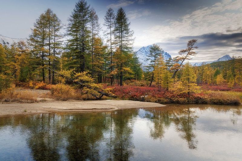 Ручей Неведомыйphoto preview