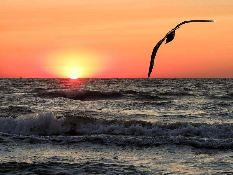 Рассветphoto preview