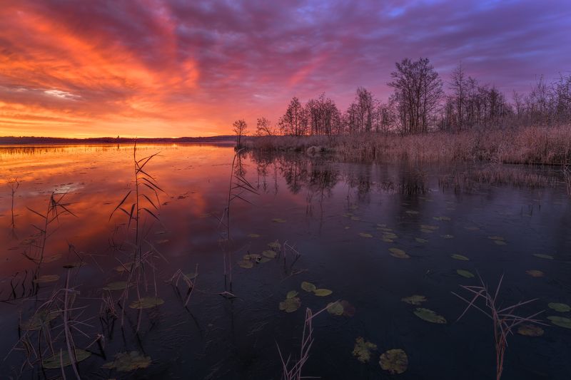 Утро на озере...photo preview