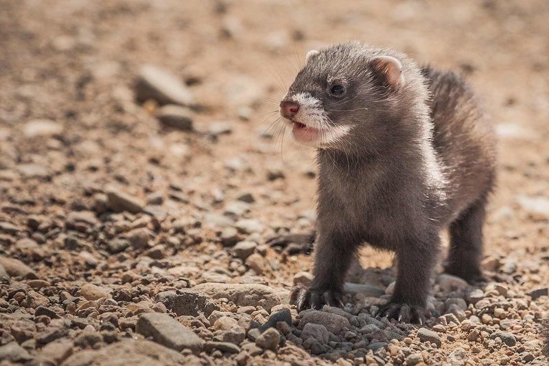 Встречаphoto preview