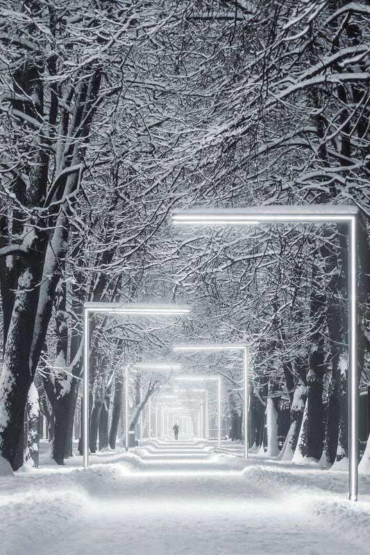 парк Северное Тушино, снег, зима, Москва, иллюминация, фонари, winter, moscow После снегопадаphoto preview