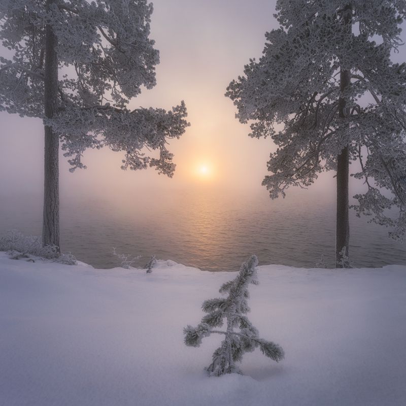 Провожая солнцеphoto preview