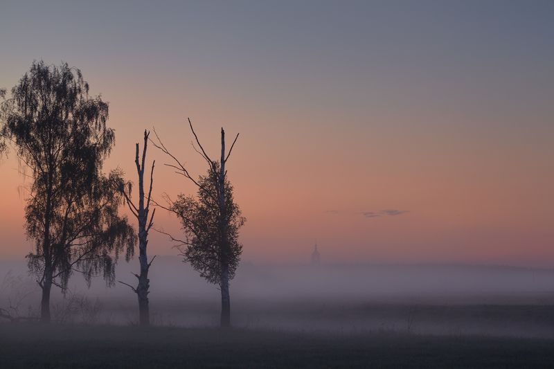 Троица ... фото превью