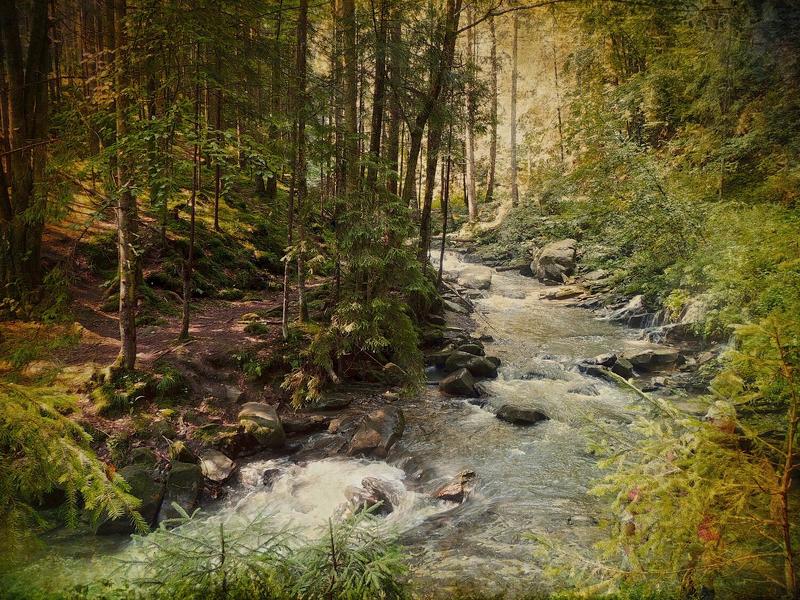 Карпатыphoto preview