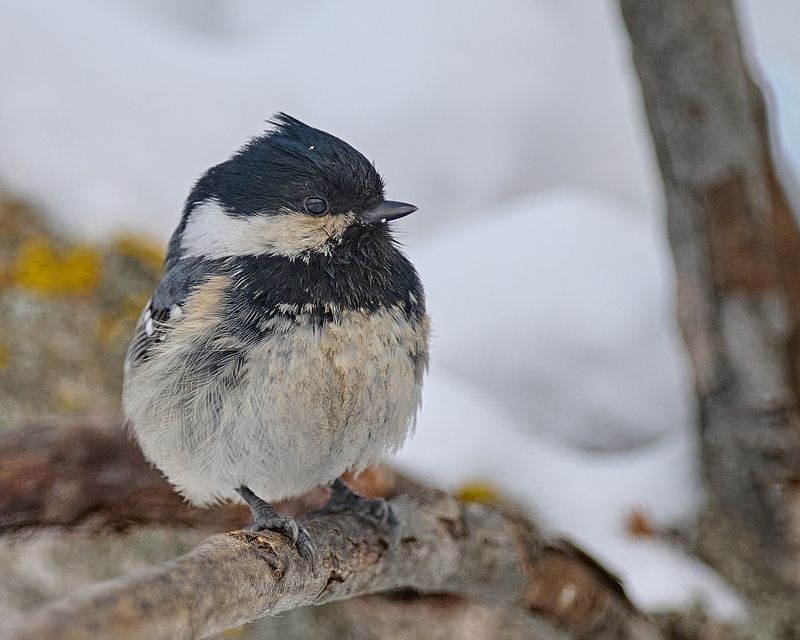 Задумаласьphoto preview