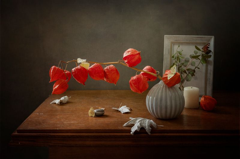 Натюрморт с физалисомphoto preview