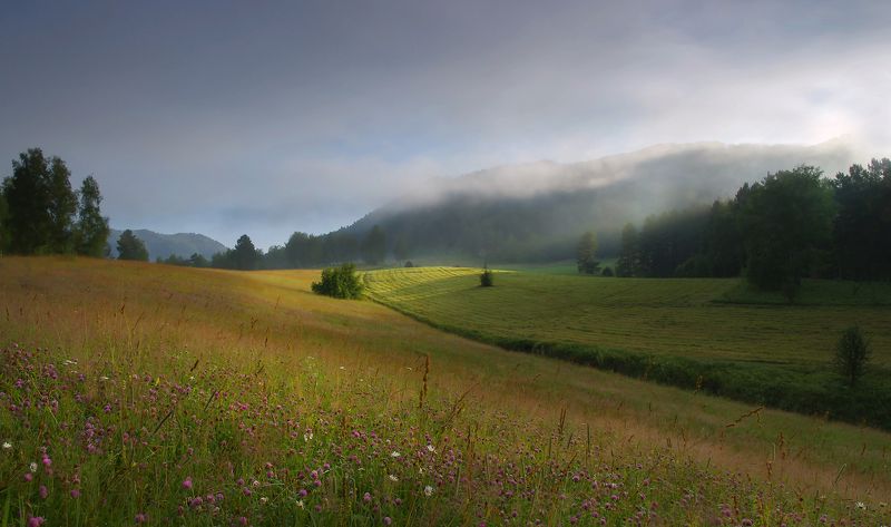 лето, утро, рассвет, горы, туман, свет, луг Июльским утромphoto preview