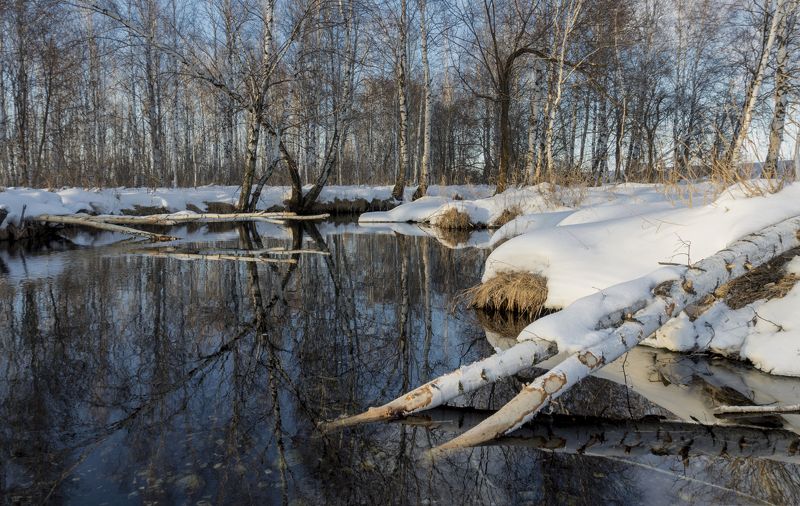 Мартphoto preview