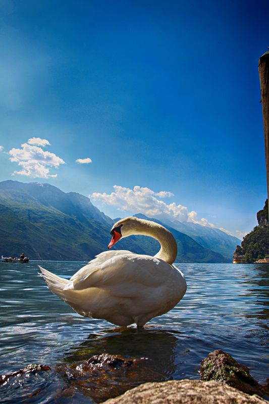 Sergio Sergeev, Italy
