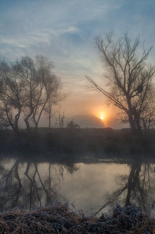 Утро. Ноябрьphoto preview