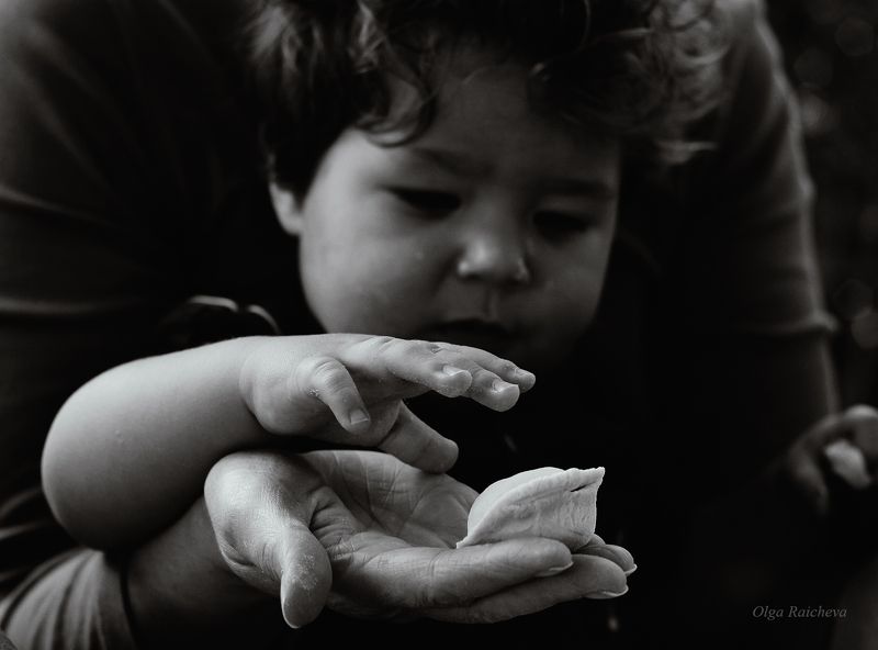 Лев photo preview