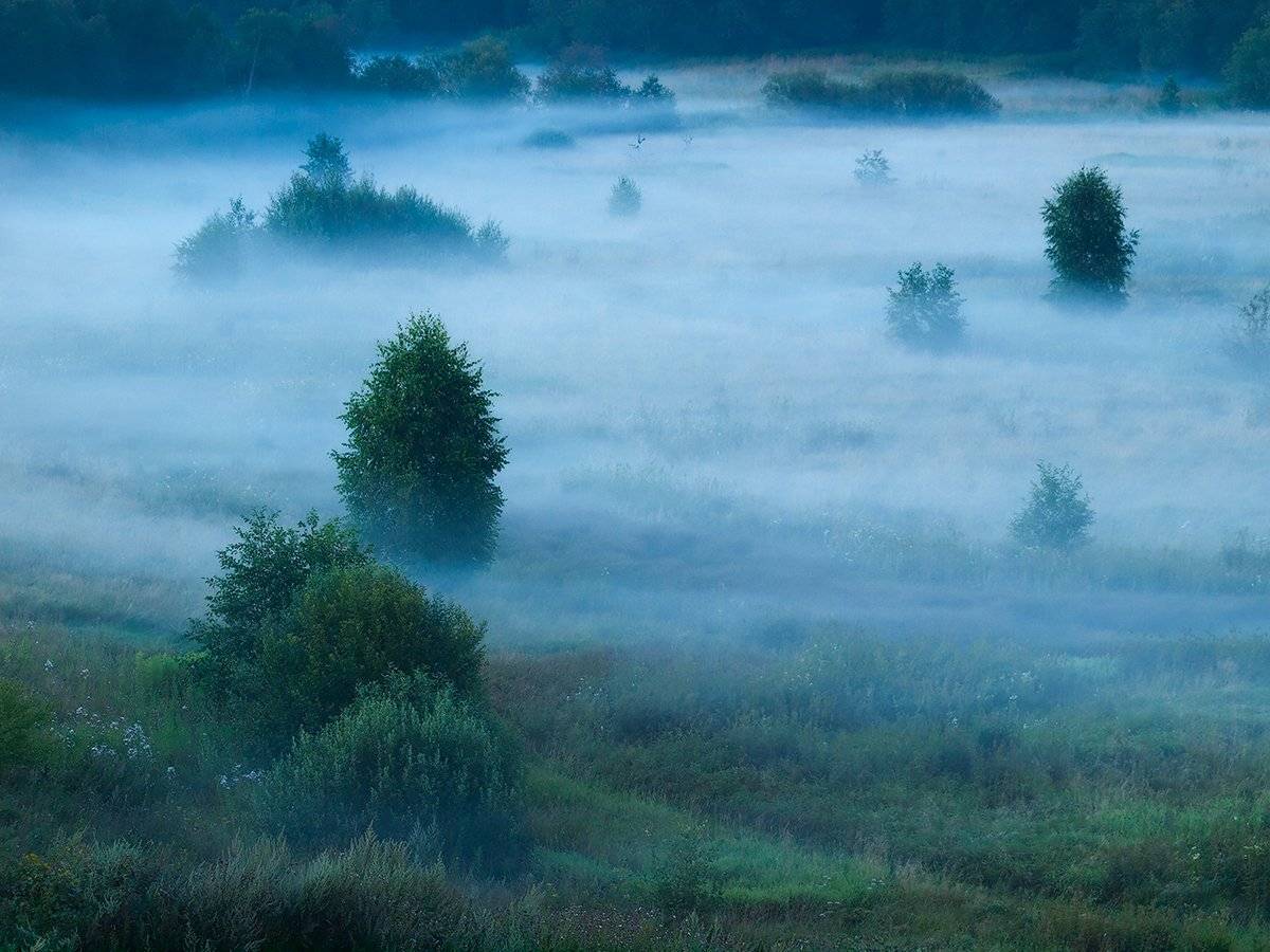 ***. Автор: Владимир Перепечаев , Владимир Перепечаев