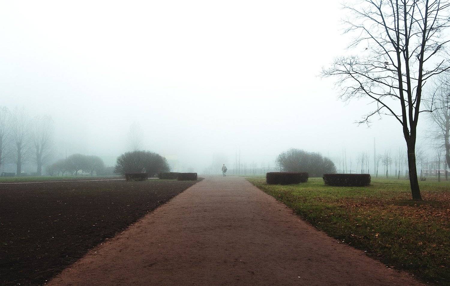 Деревья, Дорога, Туман, Улица, Фото, Человек, Рустем Галямов