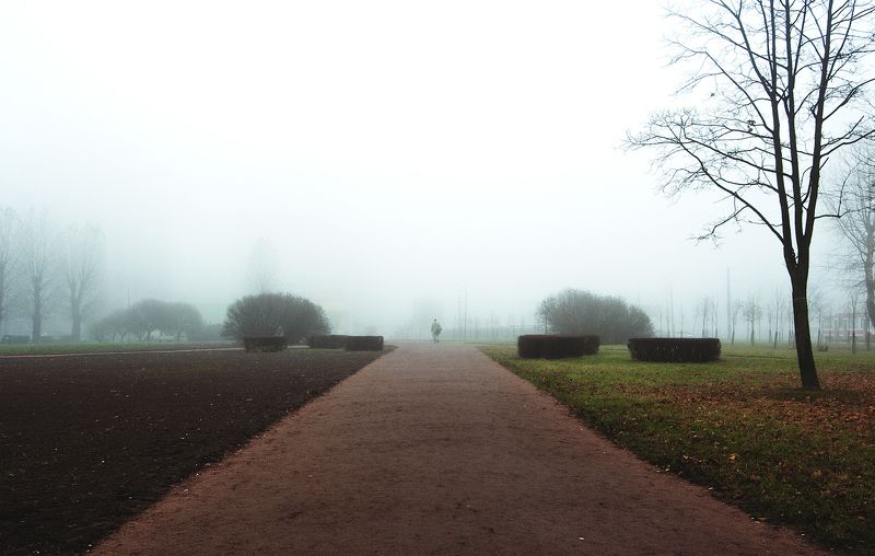 Деревья, Дорога, Туман, Улица, Фото, Человек ***photo preview