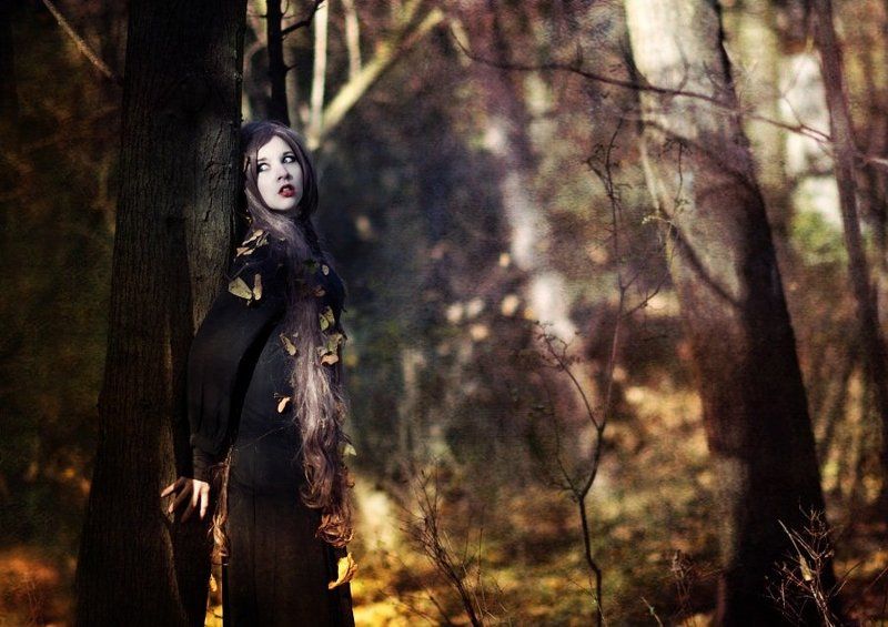 Morgianaphoto preview