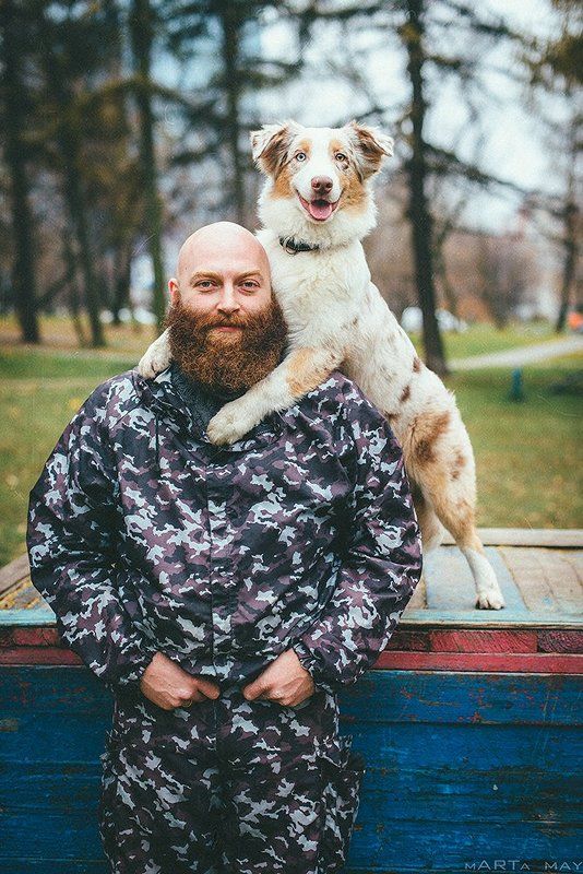 аусси, австралийская овчарка, борода, рыжие Семейный портретphoto preview