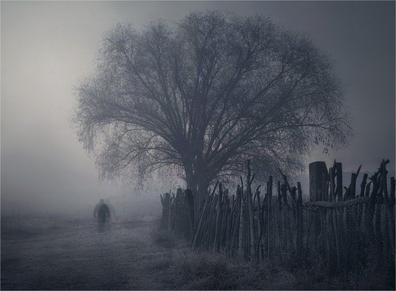 Ночные прогулкиphoto preview