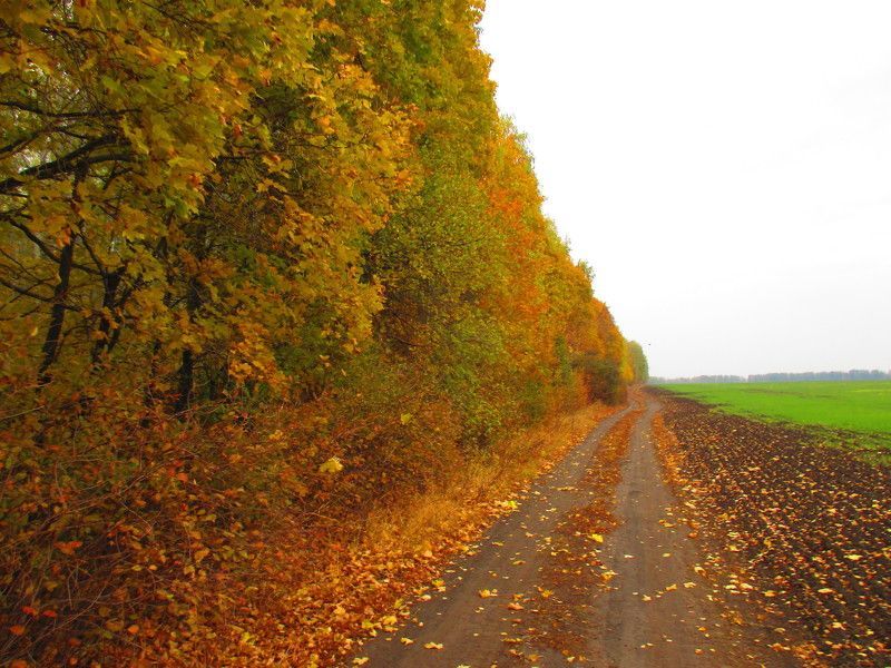 Федор, Russia