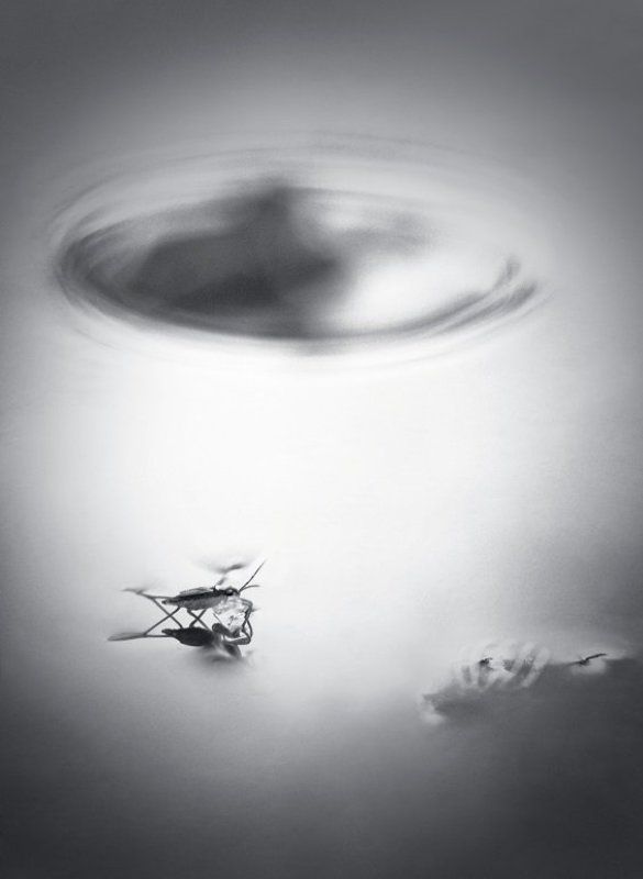 Водоворотphoto preview