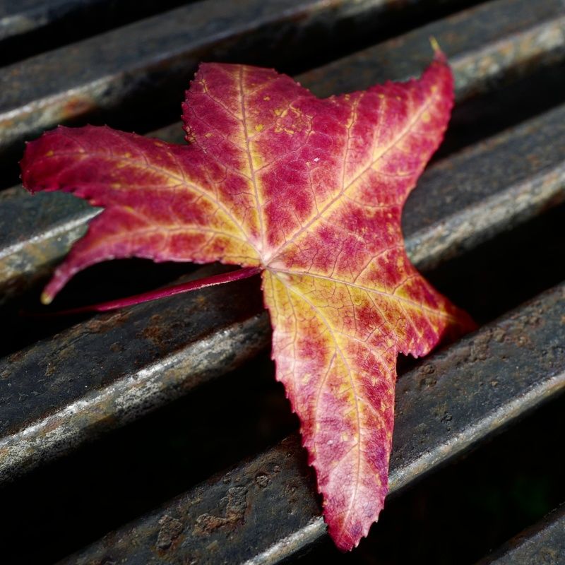 Неизбежноеphoto preview