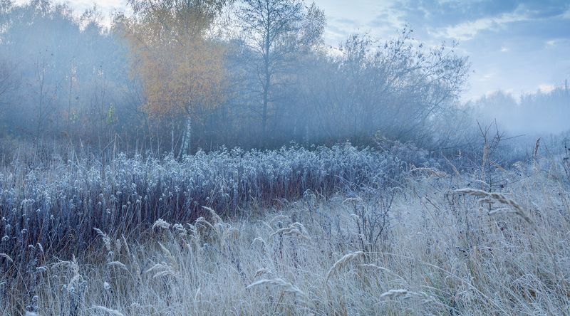 осень туман рассвет иней Застывшее дыхание осениphoto preview