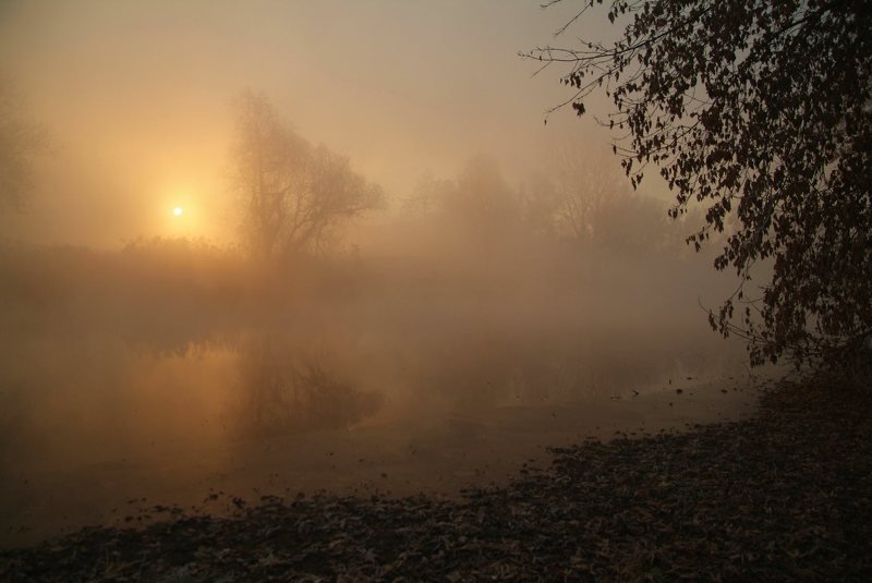 Good morning...photo preview