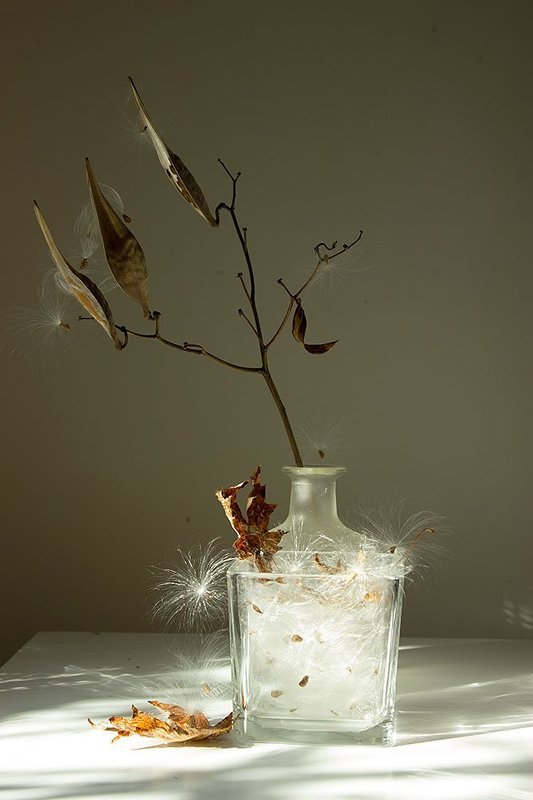 Пух, осень, ноябрь...  Пух, осень, ноябрь...photo preview