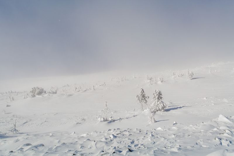 ГУХ УРАЛ  ГУХ хрустальныйphoto preview