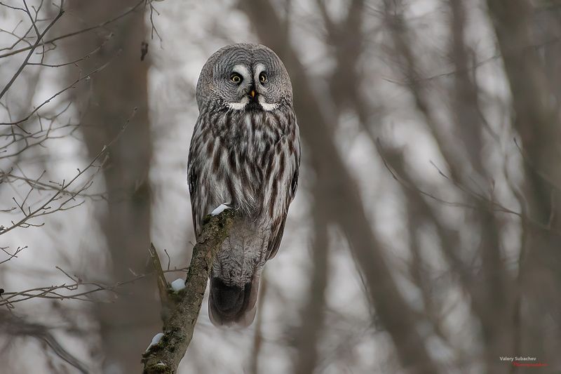 Вечерняя фото превью